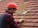Roof moss removal in Montréal H1A 0A2 and gutter maintenance