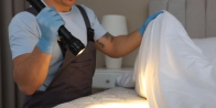 Bed Bug Treatment in Victoria V8P 1A1