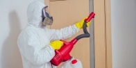 Bed Bug Treatment in Maple Ridge V0M 1H0