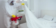 Bed Bug Treatment in Saskatoon S0K 0Y0