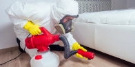 Bed Bug Treatment in Port Coquitlam V3B 0A8