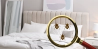 Bed Bug Treatment in Chatham-Kent N0P 0A2