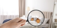 Bed Bug Treatment in Calgary T0L 0X0