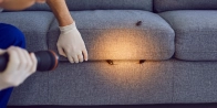 Bed Bug Treatment in Edmonton T4X 0K4