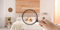 Bed Bug Treatment in Lethbridge T0K 0T0