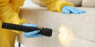 Bed Bug Treatment in Kamloops V1S 0A2