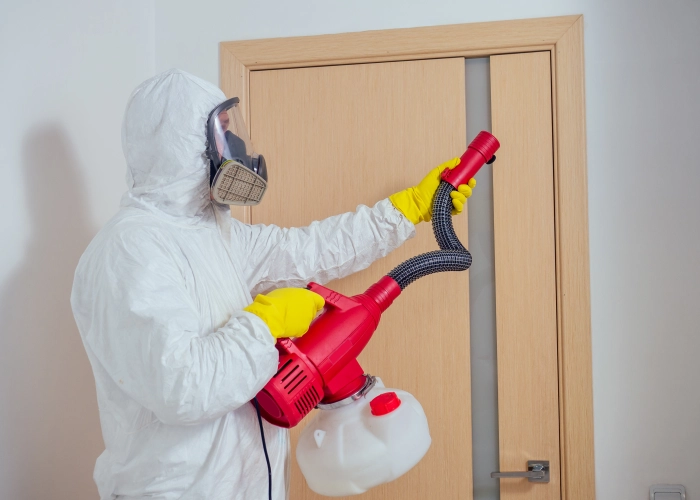 Bed Bug Treatment in Maple Ridge V0M 1H0