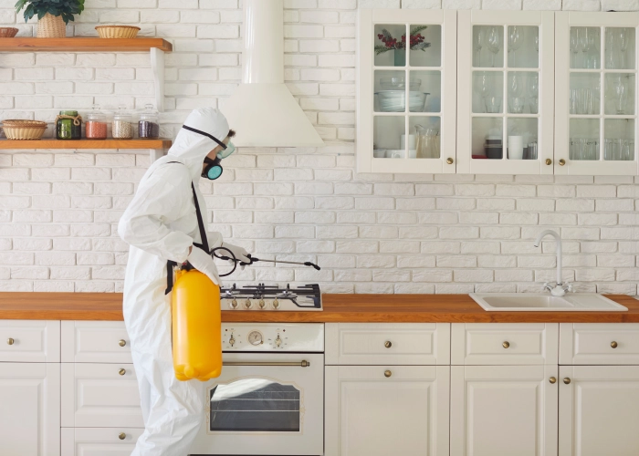 Bed Bug Treatment in North Vancouver V7J 1B8